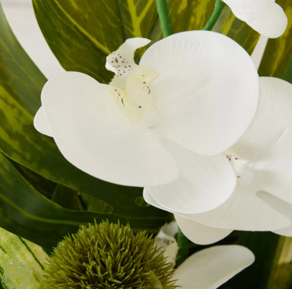 Big Leaf Phalaenopsis in Glass Container-Faux Floral Arrangement