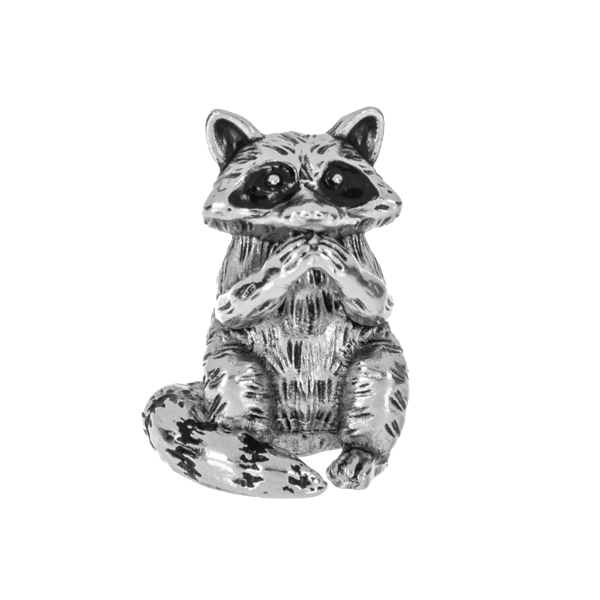 The Clever Raccoon Charm with Insert Card