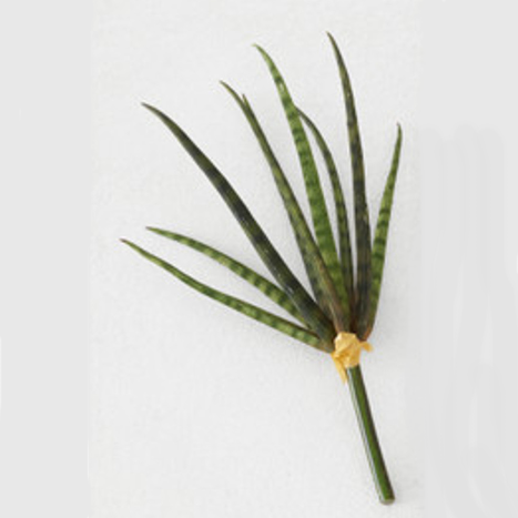 Faux Snake Grass Pick