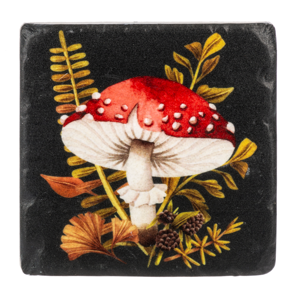 Mushroom Coaster Set