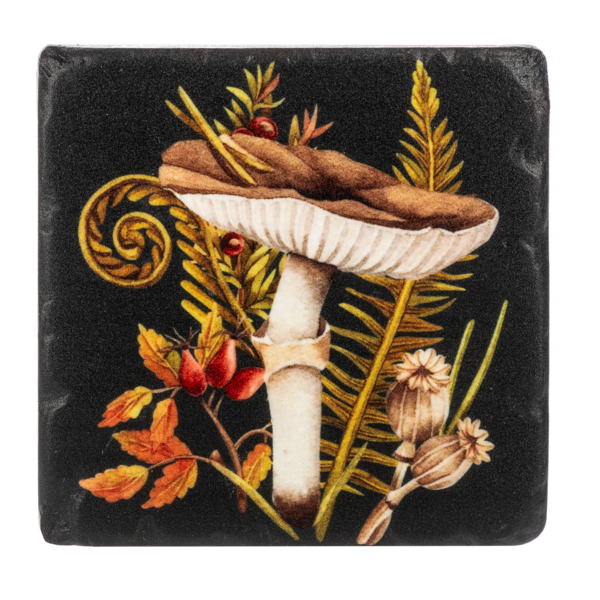 Mushroom Coaster Set