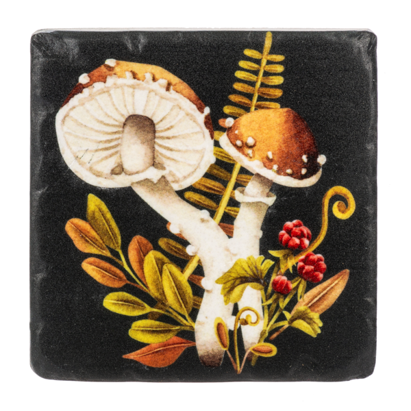 Mushroom Coaster Set