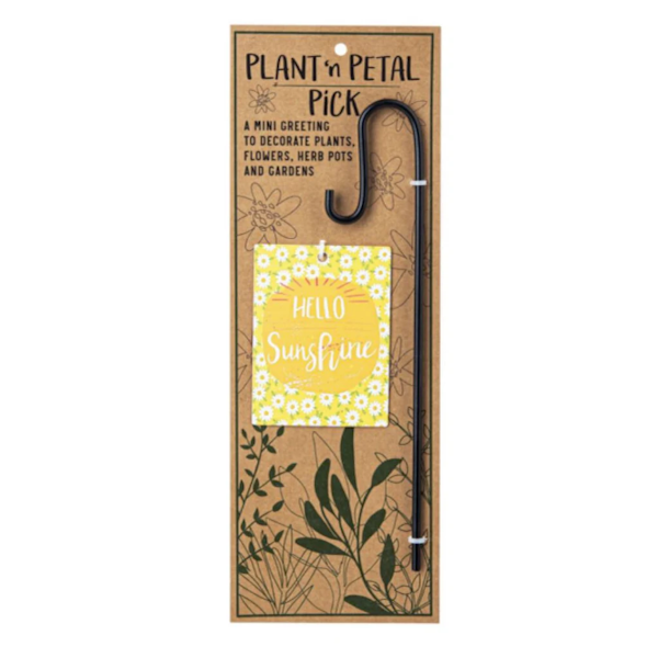 Plant 'n Petal Pick-Plant Greeting (Assorted Styles, sold seperately)