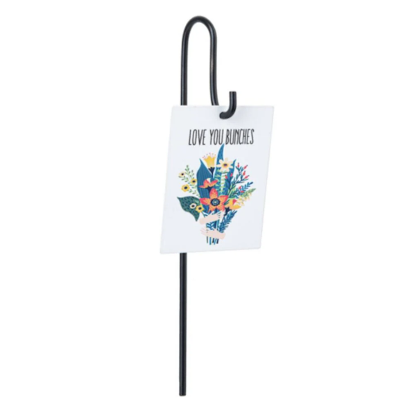 Plant 'n Petal Pick-Plant Greeting (Assorted Styles, sold seperately)