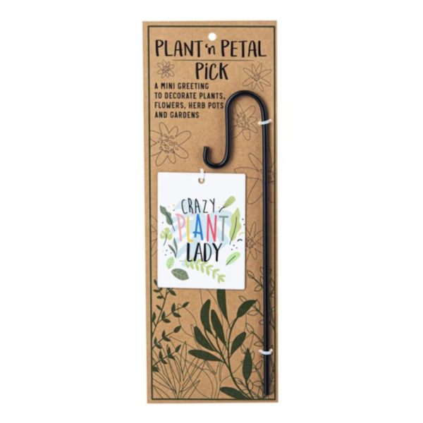 Plant 'n Petal Pick-Plant Greeting (Assorted Styles, sold seperately)