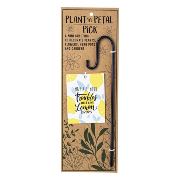 Plant 'n Petal Pick-Plant Greeting (Assorted Styles, sold seperately)