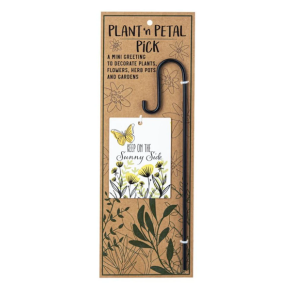 Plant 'n Petal Pick-Plant Greeting (Assorted Styles, sold seperately)