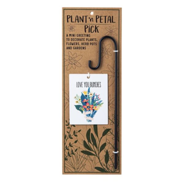 Plant 'n Petal Pick-Plant Greeting (Assorted Styles, sold seperately)