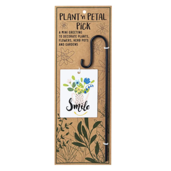 Plant 'n Petal Pick-Plant Greeting (Assorted Styles, sold seperately)