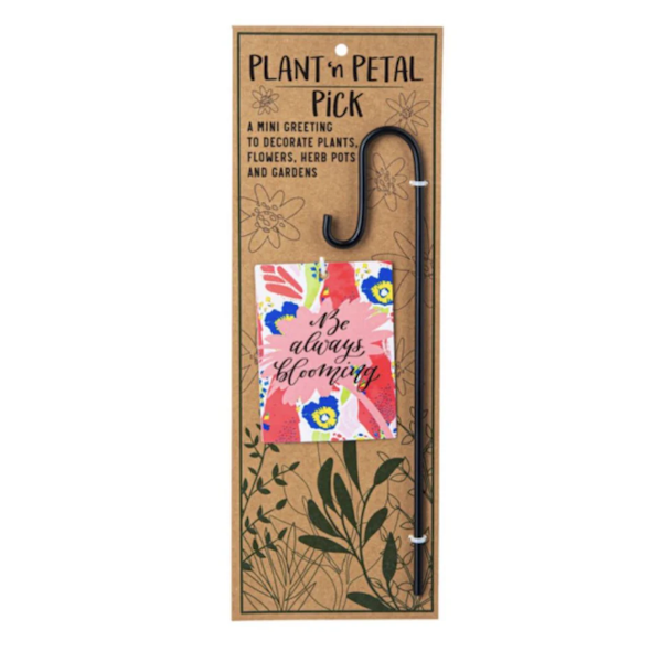 Plant 'n Petal Pick-Plant Greeting (Assorted Styles, sold seperately)