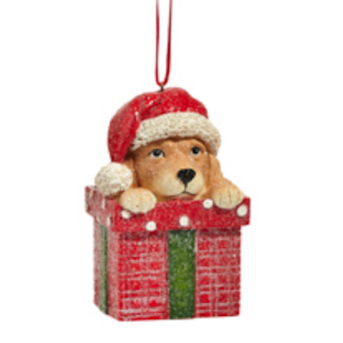 Celebrate The Season Pup Ornament-Assorted, sold seperately