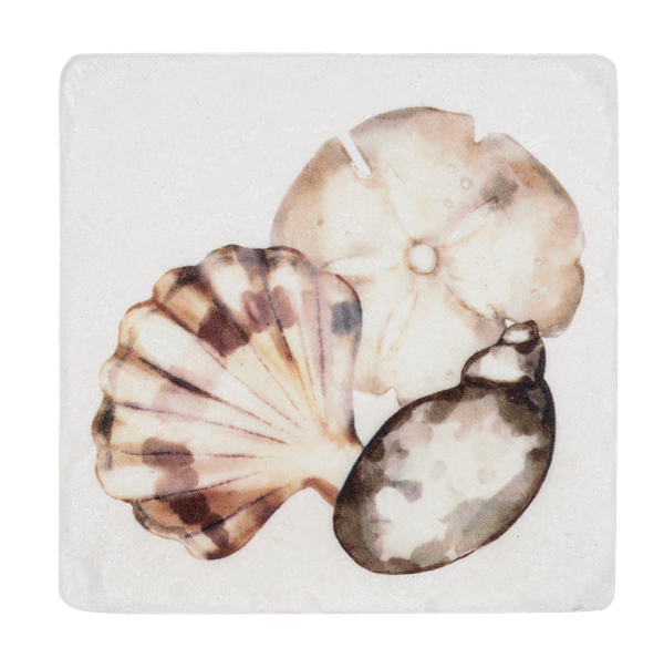 Shell Coaster Set