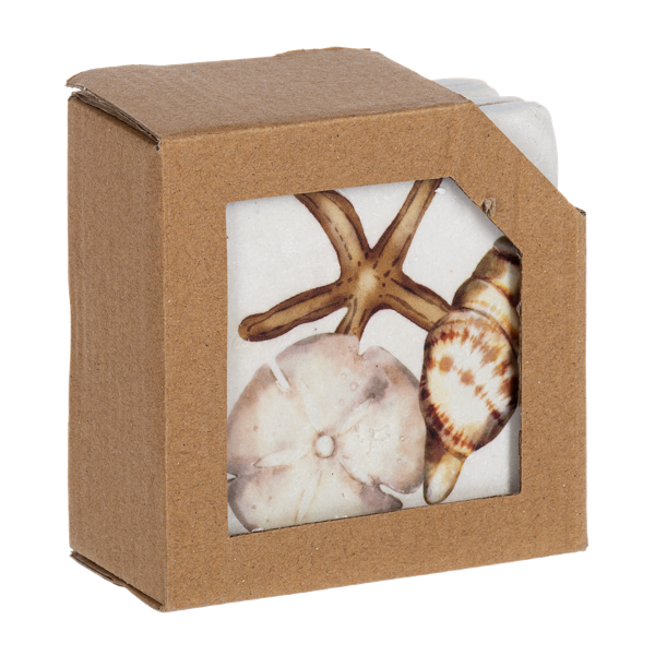 Shell Coaster Set