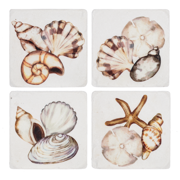 Shell Coaster Set