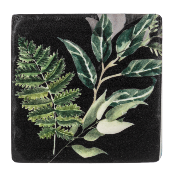 Fern Coaster Set
