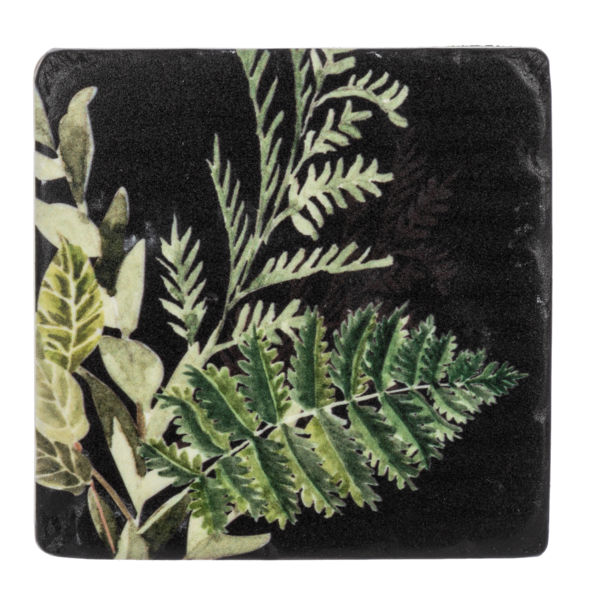 Fern Coaster Set