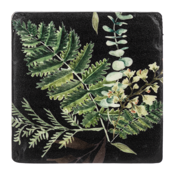 Fern Coaster Set
