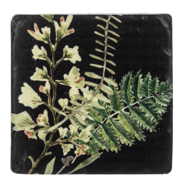 Fern Coaster Set