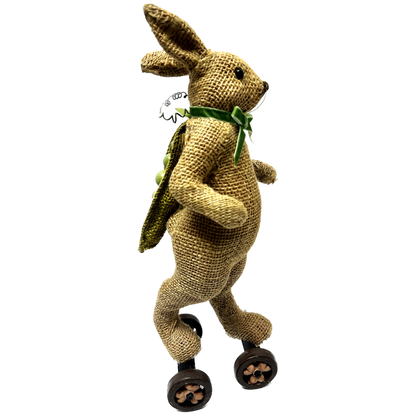 Skating Rabbit