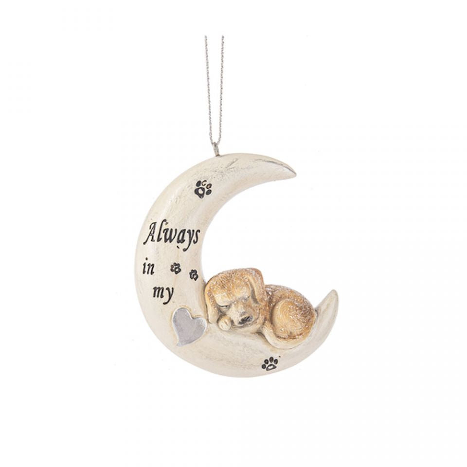 Pet Moon Ornament