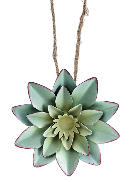 succulent ornaments Succulent Ornament – Perfectly At Home