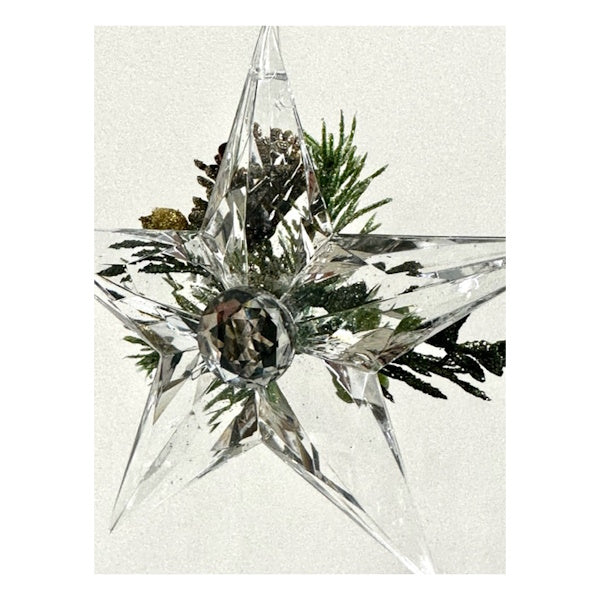 Kissing Krystals Mistletoe Star Ornament