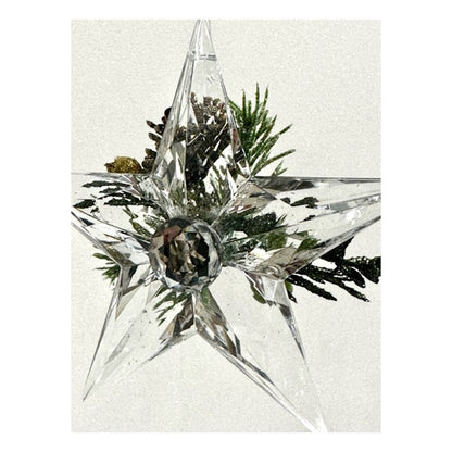 Kissing Krystals Mistletoe Star Ornament