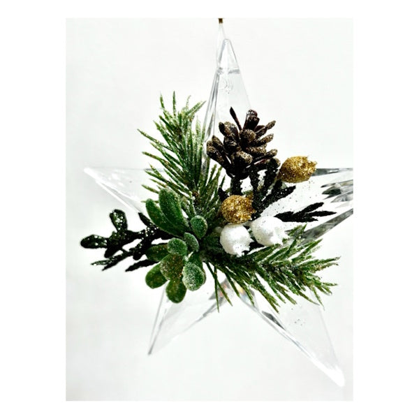 Kissing Krystals Mistletoe Star Ornament