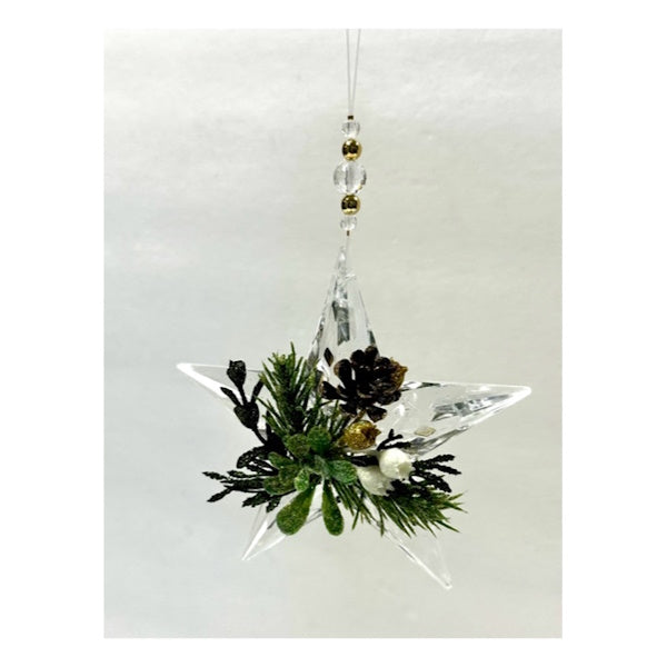 Kissing Krystals Mistletoe Star Ornament