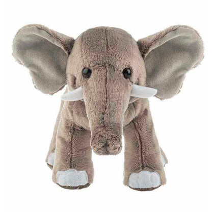 Webkinz Next-Asian Elephant