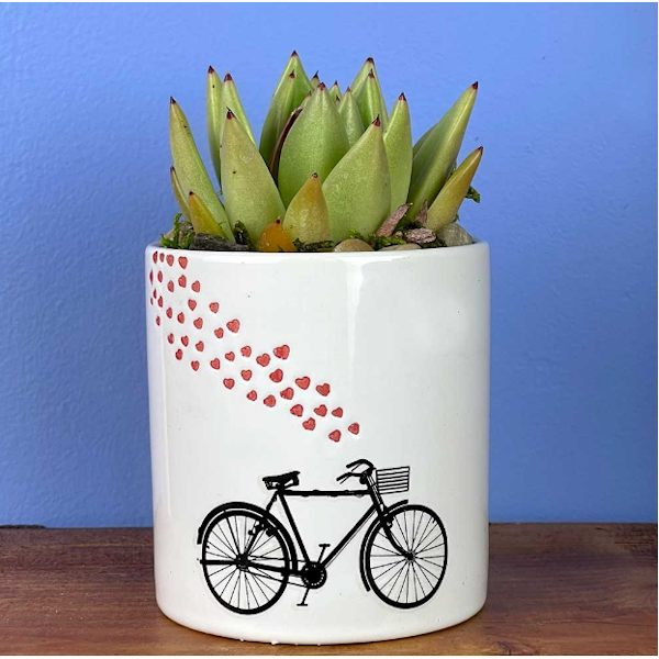 Bicycle Ceramic Pot