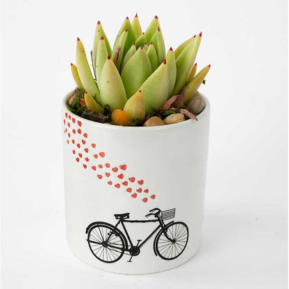 Bicycle Ceramic Pot