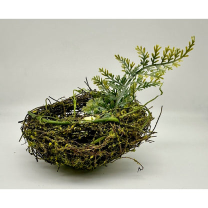 Moss and Fern Bird's Nest with Eggs