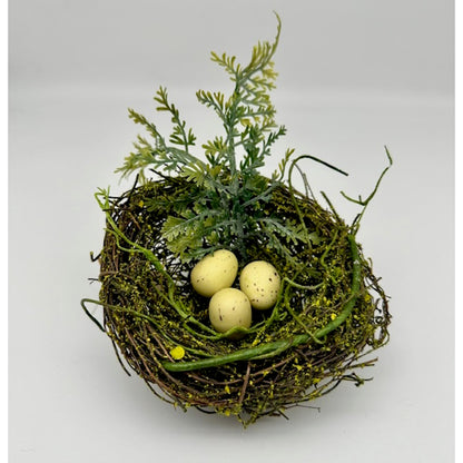 Moss and Fern Bird's Nest with Eggs