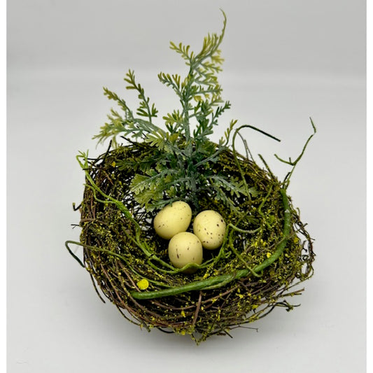 Moss and Fern Bird's Nest with Eggs
