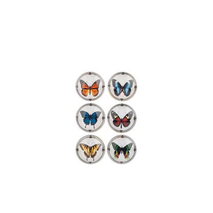 Glass Butterfly Magnets-Set of 6
