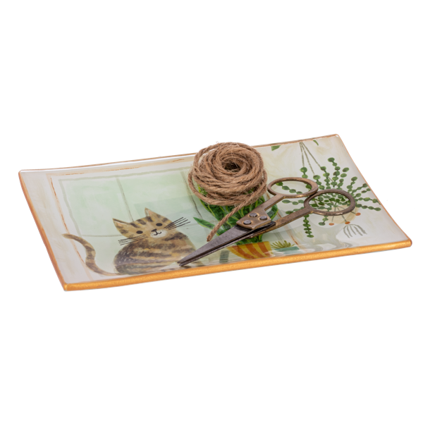 Cat Message Trinket Dish-Assorted, each sold separately