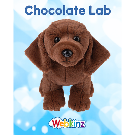 Webkinz Next, Chocolate Lab Puppy