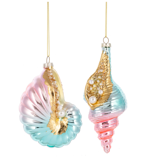 Colorful Seashell Ornament-Assorted, sold seperately