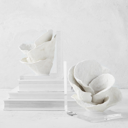 Faux Coral Book Ends-Pair
