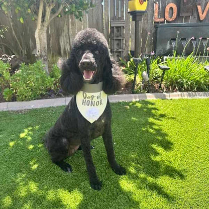 Dog of Honor-Dog Collar Wedding Bandana