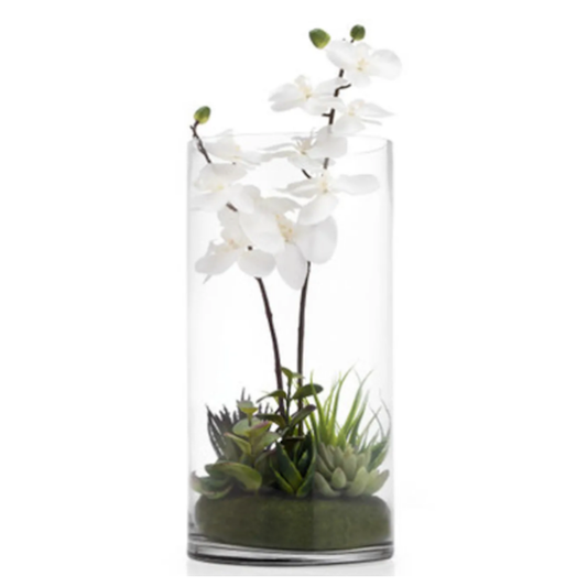 Faux Orchid with Succulents in Glass Cylinder