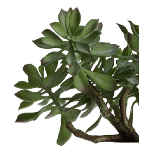 Faux Sedum Succulent Pick