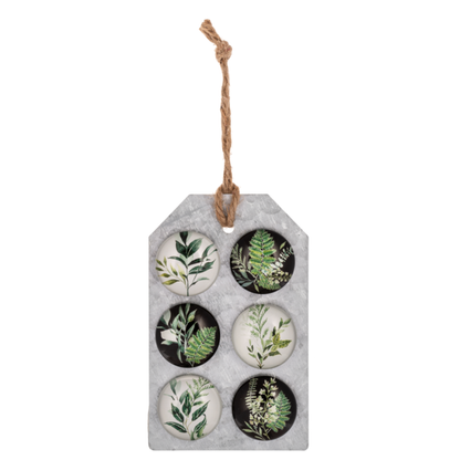 Fern Magnet Set