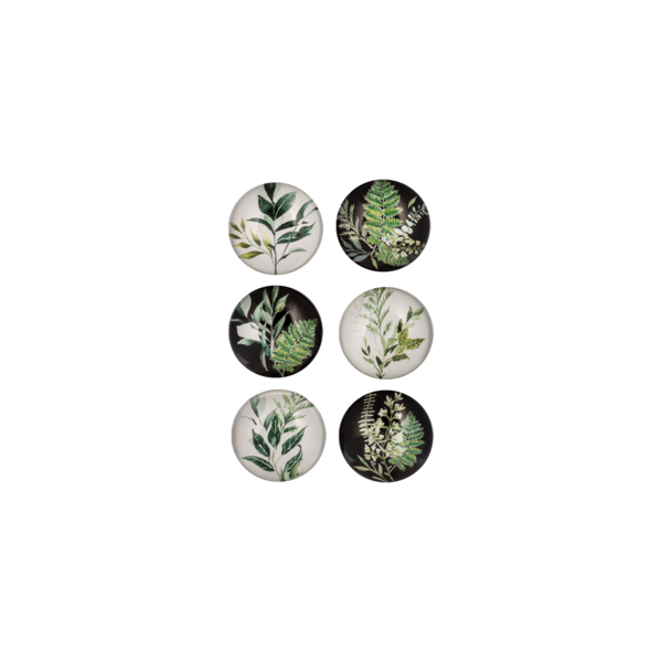 Fern Magnet Set