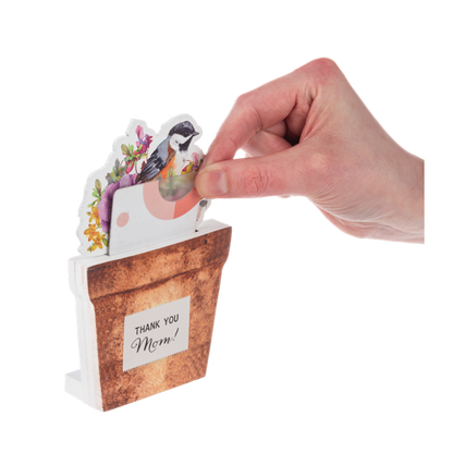Hidden Message Plaques-Assorted, each sold separately