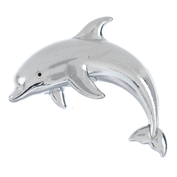 Lucky Little Dolphin Charm, with Insert Card