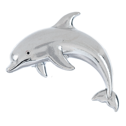 Lucky Little Dolphin Charm, with Insert Card