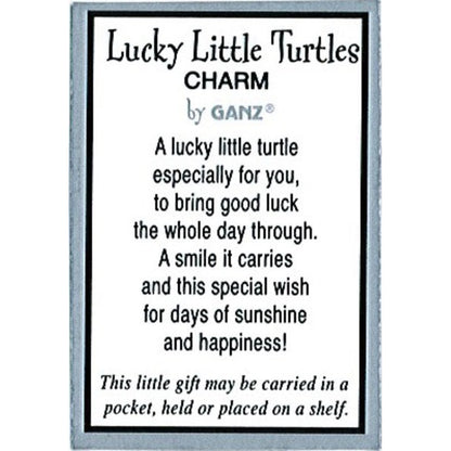 Lucky Little Turtle Charm, with Insert Card