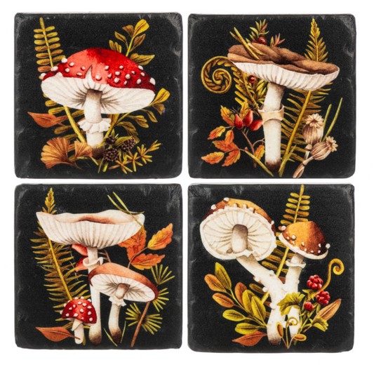 Mushroom Coaster Set